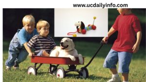 Push-and-Pull-Toys