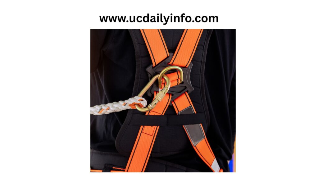 Always-use-the-harness