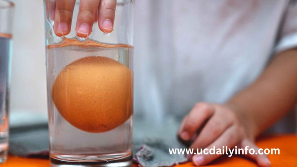 Kitchen Science Experiments for Kids