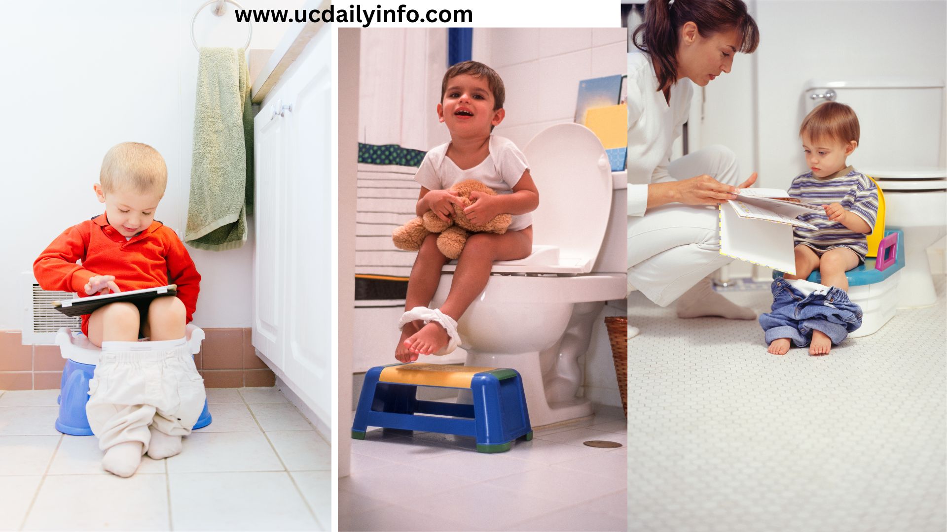 Potty Training Made Easy