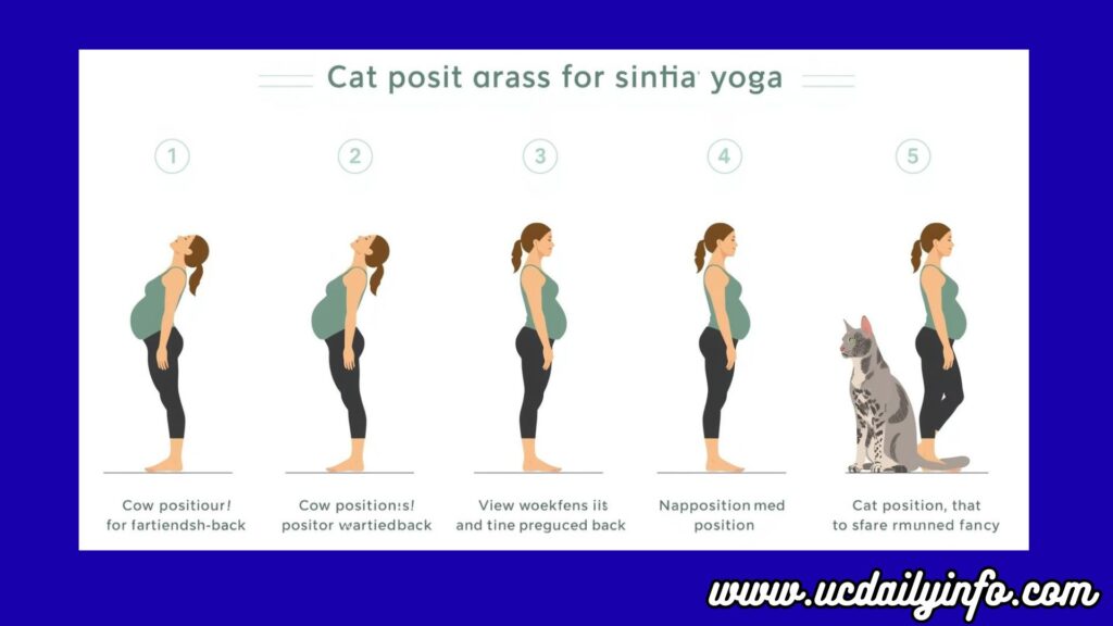 A step-by-step illustration showing a pregnant woman moving from the cow position (arched back) to the cat position (rounded back). Pregnancy Stretches for Back Pain Relief